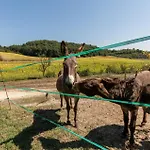Poggiolo Dei Serviti Holiday home